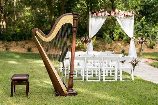 tampa harpist live musician for weddings 
